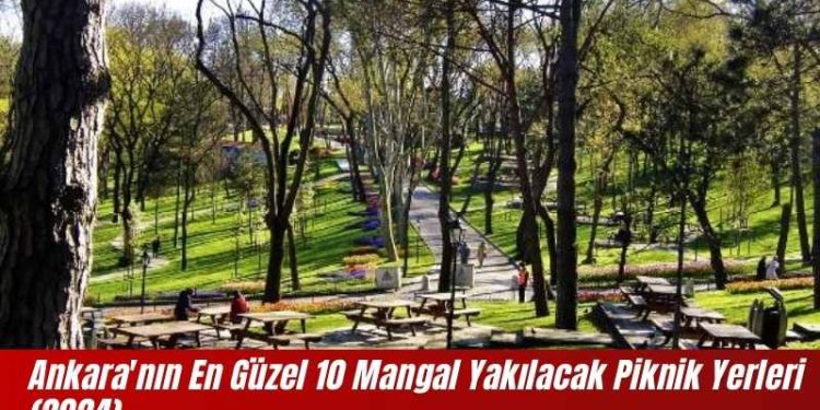 Ankara’nın En Güzel 10 Mangal Yakılacak Piknik Yerleri (2024)
