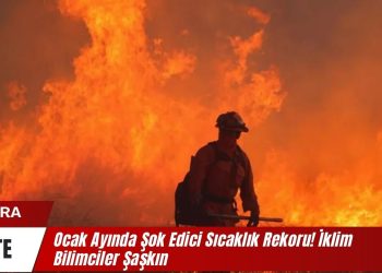 Ocak Ayında Şok Edici Sıcaklık Rekoru! İklim Bilimciler Şaşkın